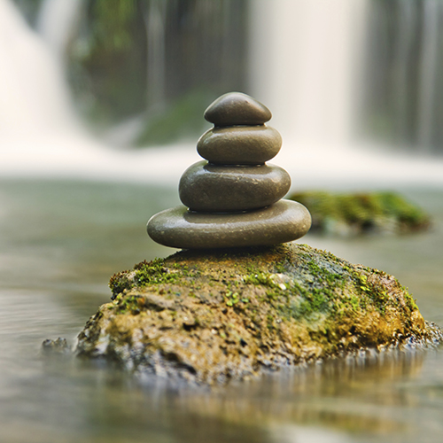 Finances | Castle Rock Financial Planning